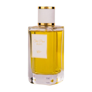 (plu00483) - Apa de Parfum Club Prive Select, Dina Cosmetics, Barbati - 100ml